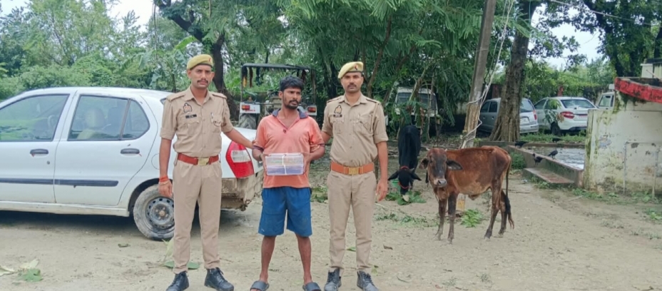 कुंदनपुर नहर पुलिया से दो गोवंश व अवैध असलहे के साथ एक गिरफ्तार